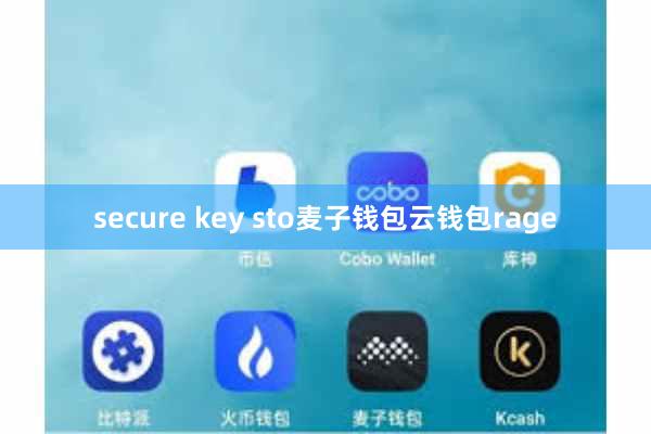 secure key sto麦子钱包云钱包rage