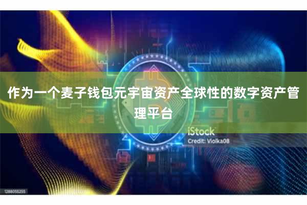 作为一个麦子钱包元宇宙资产全球性的数字资产管理平台