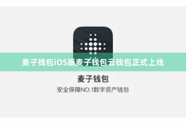 麦子钱包iOS版麦子钱包云钱包正式上线