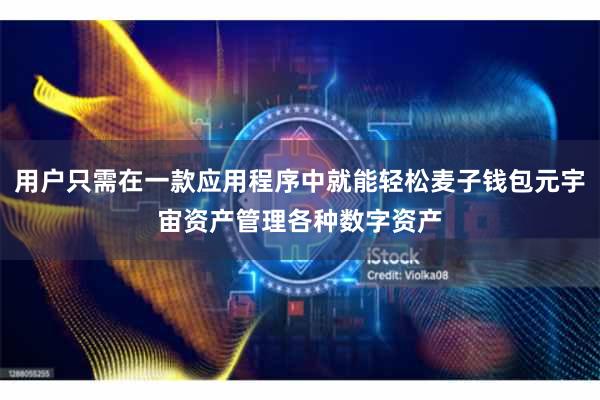 用户只需在一款应用程序中就能轻松麦子钱包元宇宙资产管理各种数字资产