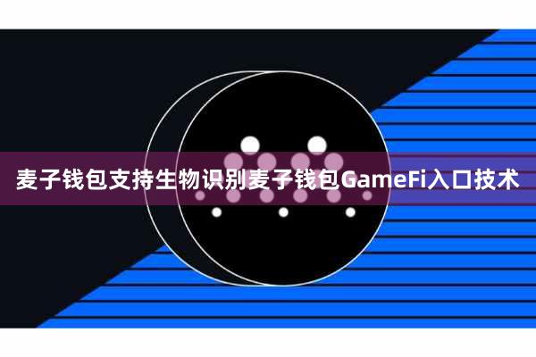 麦子钱包支持生物识别麦子钱包GameFi入口技术