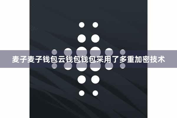 麦子麦子钱包云钱包钱包采用了多重加密技术