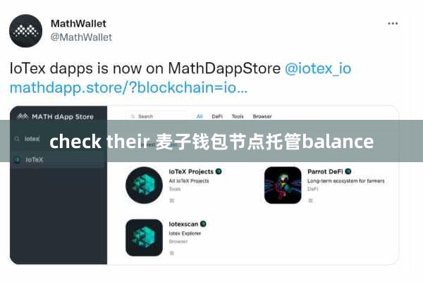 check their 麦子钱包节点托管balance