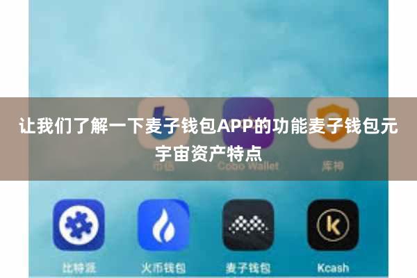 让我们了解一下麦子钱包APP的功能麦子钱包元宇宙资产特点