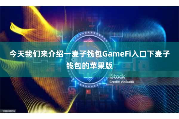 今天我们来介绍一麦子钱包GameFi入口下麦子钱包的苹果版