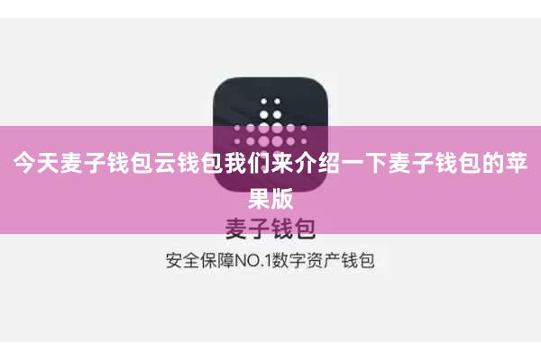 今天麦子钱包云钱包我们来介绍一下麦子钱包的苹果版