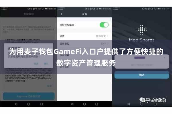 为用麦子钱包GameFi入口户提供了方便快捷的数字资产管理服务