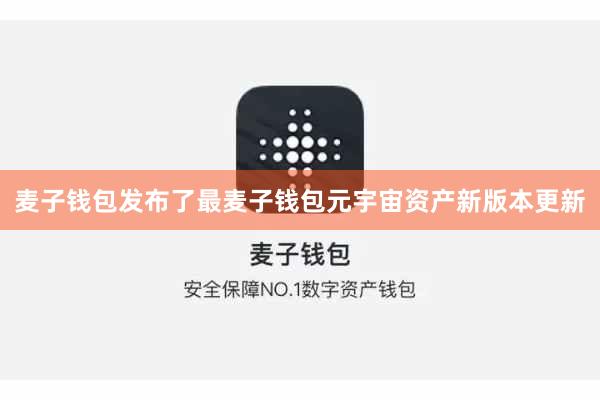麦子钱包发布了最麦子钱包元宇宙资产新版本更新