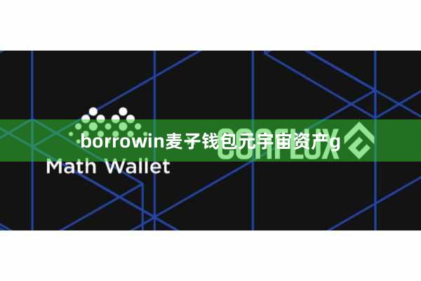 borrowin麦子钱包元宇宙资产g
