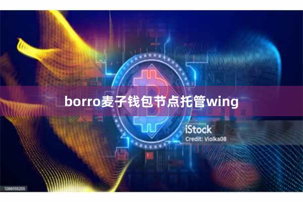 borro麦子钱包节点托管wing