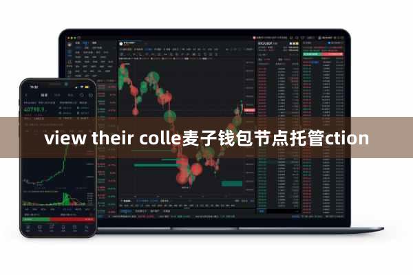 view their colle麦子钱包节点托管ction
