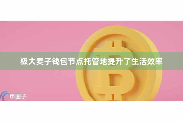 极大麦子钱包节点托管地提升了生活效率