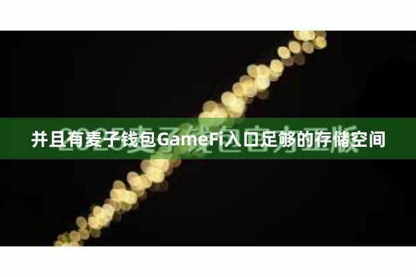 并且有麦子钱包GameFi入口足够的存储空间