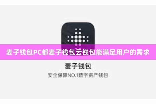 麦子钱包PC都麦子钱包云钱包能满足用户的需求