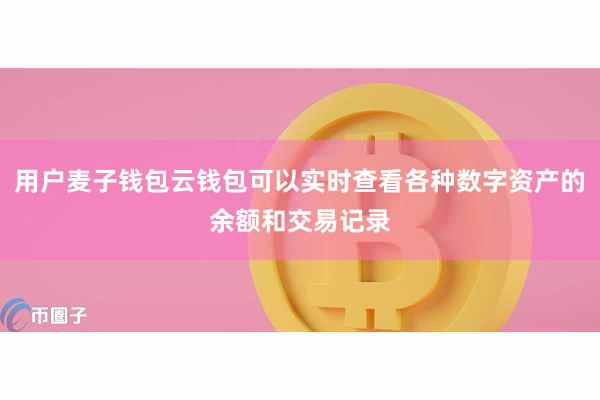 用户麦子钱包云钱包可以实时查看各种数字资产的余额和交易记录
