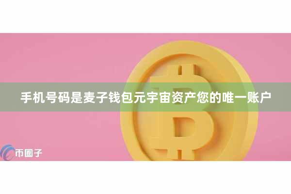 手机号码是麦子钱包元宇宙资产您的唯一账户