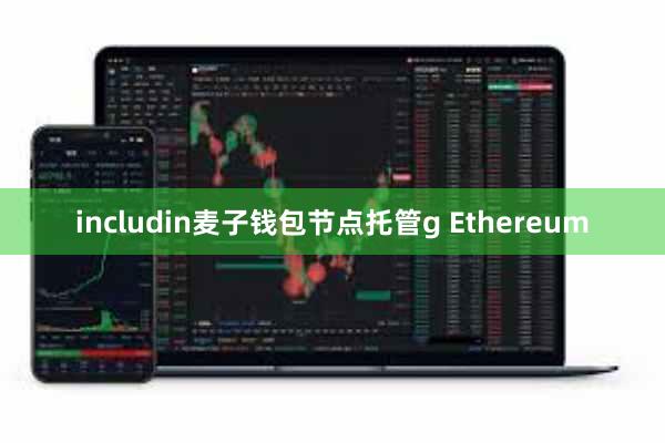 includin麦子钱包节点托管g Ethereum