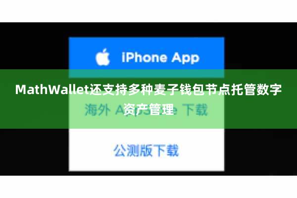MathWallet还支持多种麦子钱包节点托管数字资产管理